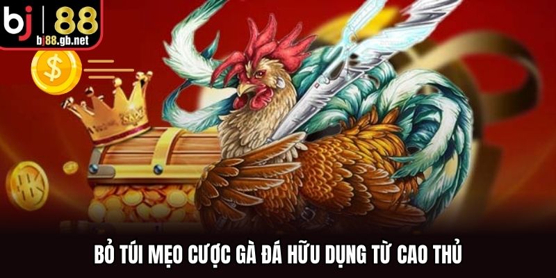 Bỏ túi mẹo cược gà đá hữu dụng từ cao thủ
