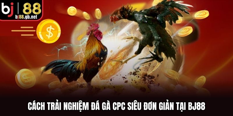 Cách trải nghiệm đá gà CPC siêu đơn giản tại BJ88