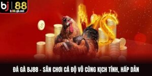 Đá Gà BJ88