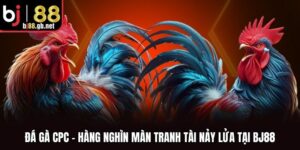 Đá Gà CPC