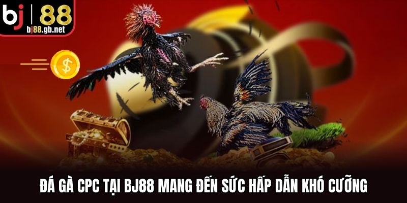 Đá gà CPC tại BJ88 mang đến sức hấp dẫn khó cưỡng