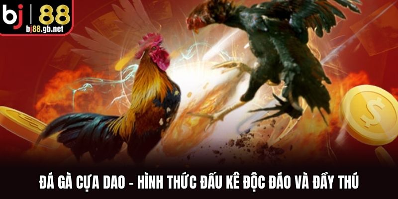 Đá Gà Cựa Dao