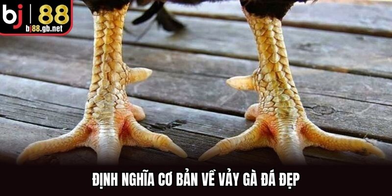 Định nghĩa cơ bản về vảy gà đá đẹp