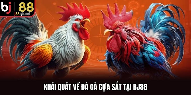 Khái quát về đá gà cựa sắt tại BJ88