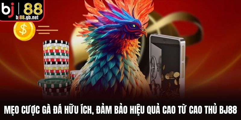 Mẹo Cược Gà Đá