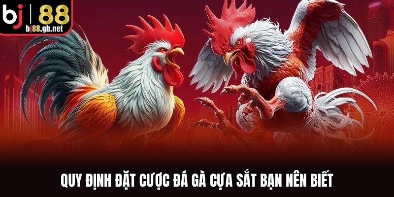 Quy định đặt cược đá gà cựa sắt bạn nên biết