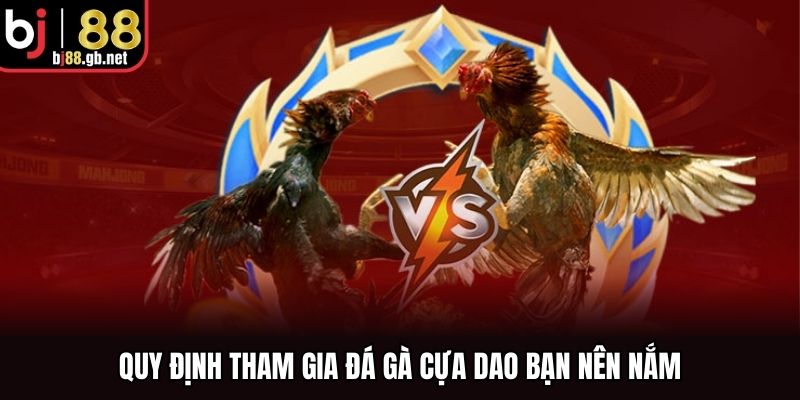 Quy định tham gia đá gà cựa dao bạn nên nắm