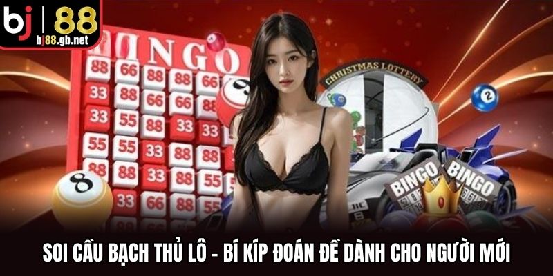 Soi Cầu Bạch Thủ Lô