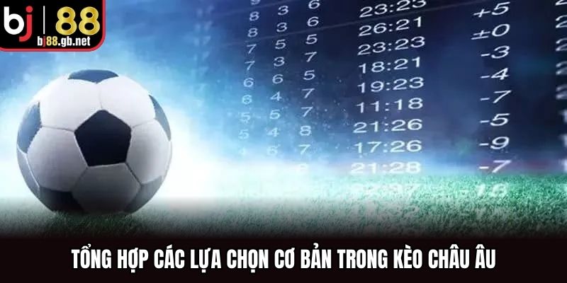 Tổng hợp các lựa chọn cơ bản trong kèo Châu Âu