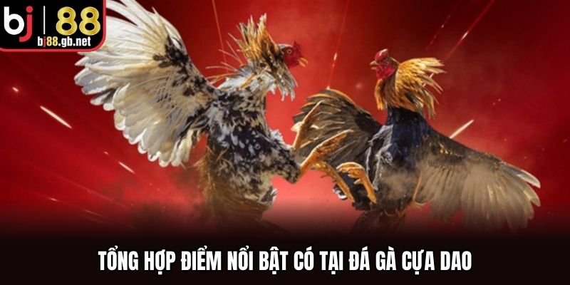 Tổng hợp điểm nổi bật có tại đá gà cựa dao