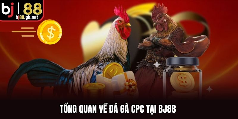 Tổng quan về đá gà CPC tại BJ88 