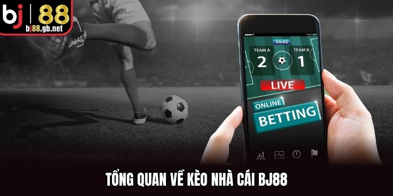 Tổng quan về kèo nhà cái BJ88