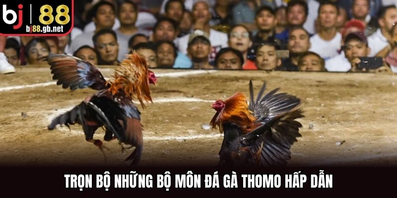 Trọn bộ những bộ môn đá gà Thomo hấp dẫn