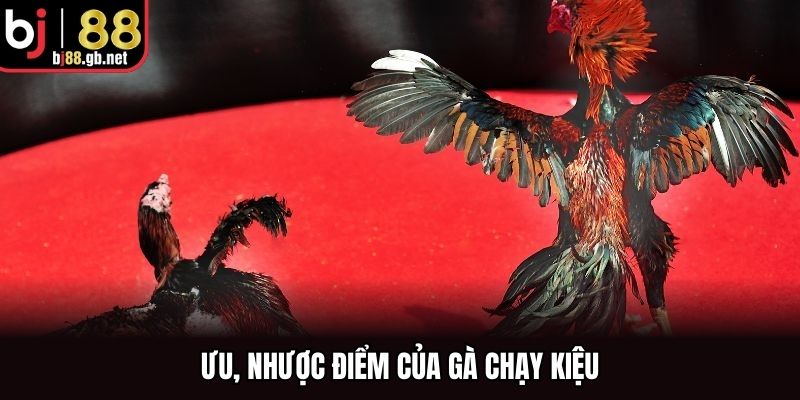 Ưu, nhược điểm của gà chạy kiệu